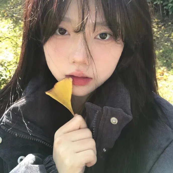 再见语言